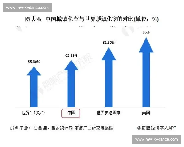 越南对阵中国焦点之战区域格局与赛场走向深度解析全面前瞻与影响评估
