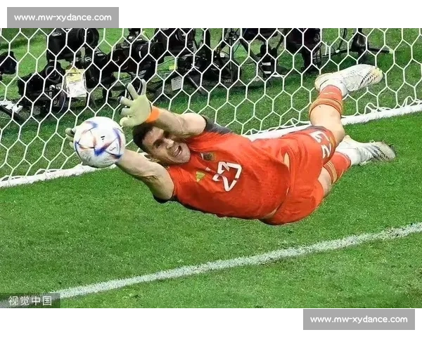 阿根廷vs冰激情对决解析实力碰撞与战术博弈全看点前瞻与走势预测